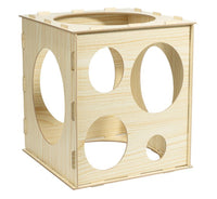 Balloon Sizer Cube 1ct | Bag