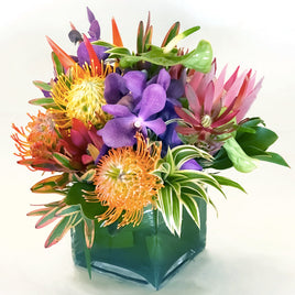 Big Hawaiian Flowers Rainbow Arrangement