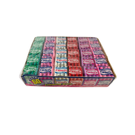 Canels Gum Menta