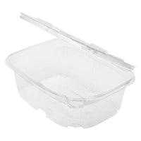 Deli PET Hinged (32 oz) | 100ct, Bag