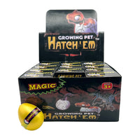 Grow Dinosaur Egg | 12ct, Box
