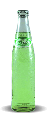 Sidral Mundet Manzana Verde/Green Apple Flavored Soda – Soda Pop Stop