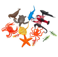 Wild Sea Animal Display | 12ct, Box